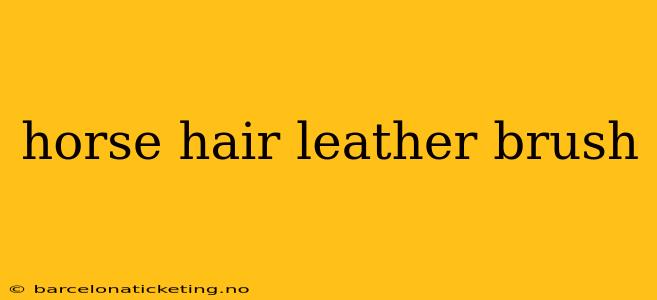 horse hair leather brush