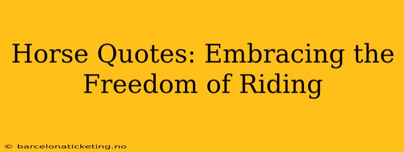 Horse Quotes: Embracing the Freedom of Riding