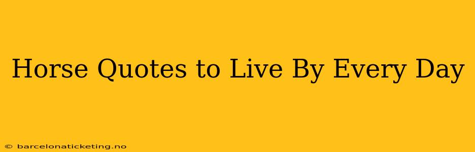 Horse Quotes to Live By Every Day