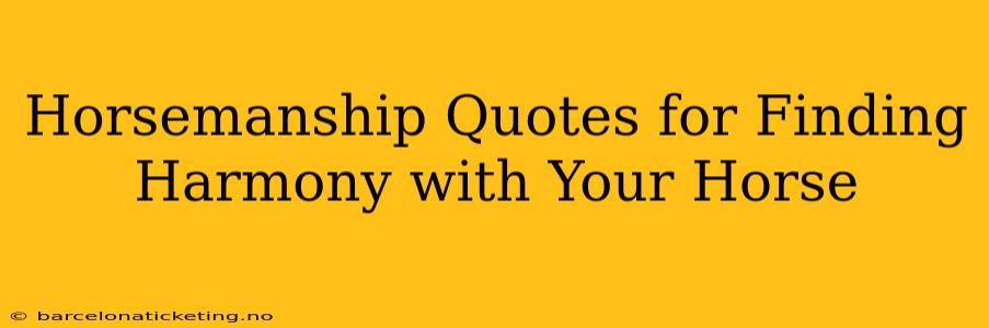 Horsemanship Quotes for Finding Harmony with Your Horse
