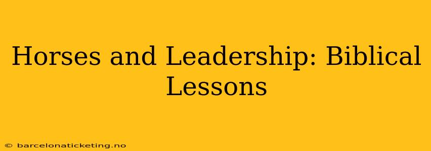 Horses and Leadership: Biblical Lessons