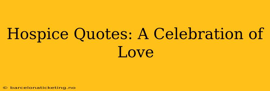 Hospice Quotes: A Celebration of Love