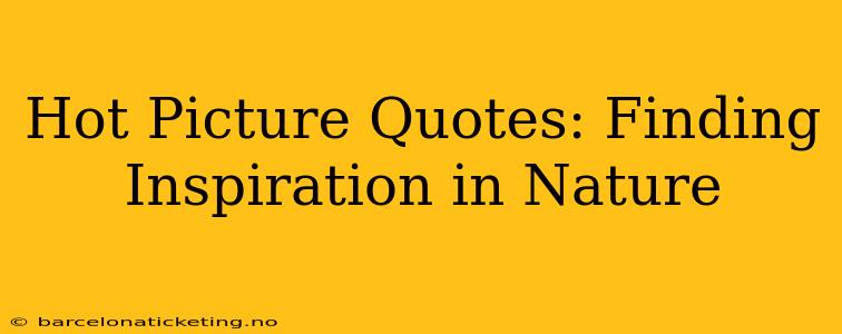 Hot Picture Quotes: Finding Inspiration in Nature