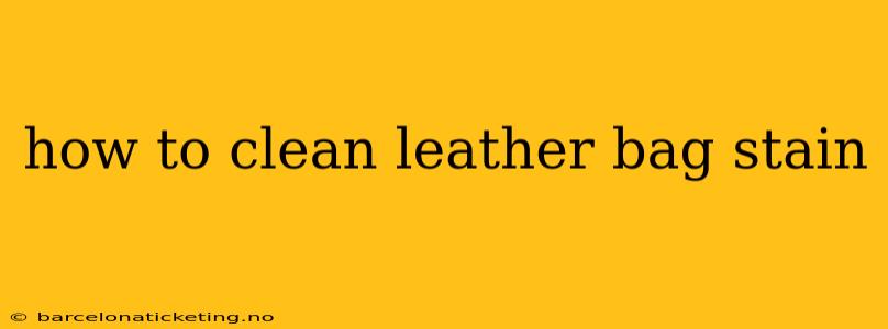 how to clean leather bag stain