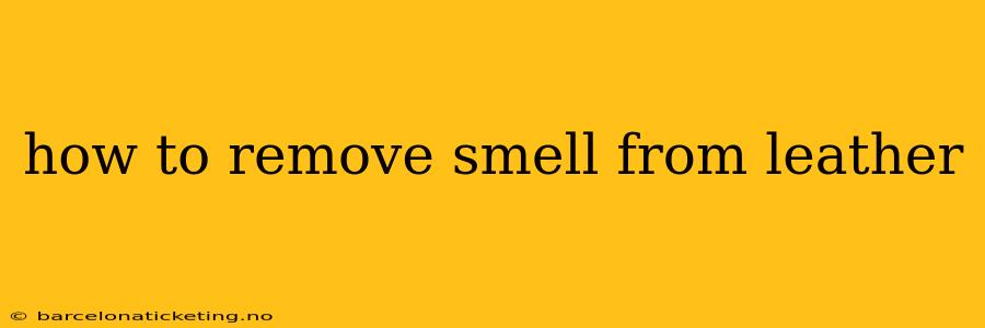 how to remove smell from leather