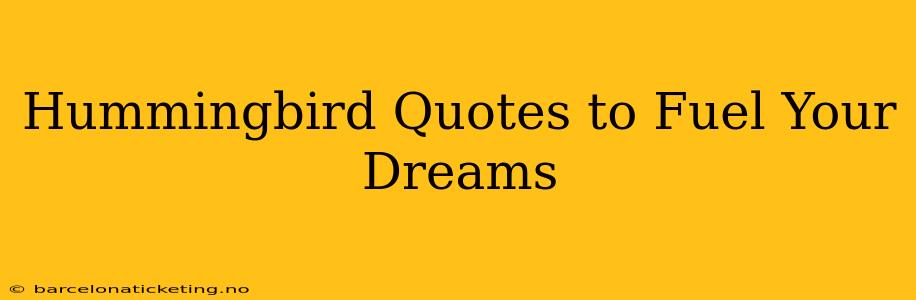 Hummingbird Quotes to Fuel Your Dreams