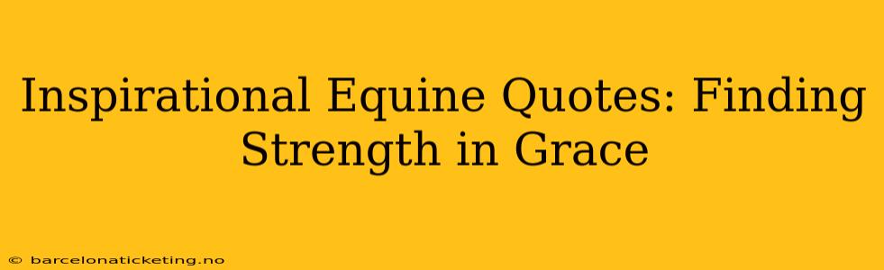 Inspirational Equine Quotes: Finding Strength in Grace