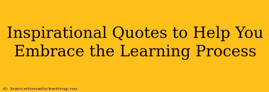 Inspirational Quotes to Help You Embrace the Learning Process