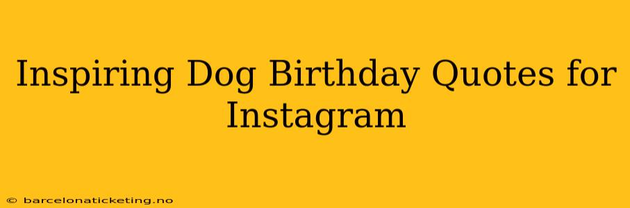 Inspiring Dog Birthday Quotes for Instagram