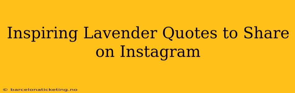 Inspiring Lavender Quotes to Share on Instagram