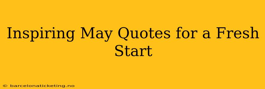 Inspiring May Quotes for a Fresh Start