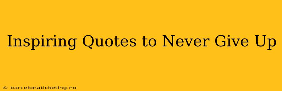 Inspiring Quotes to Never Give Up