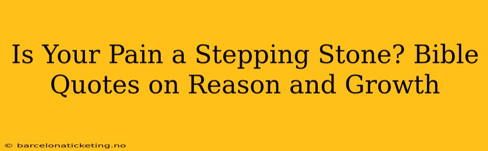 Is Your Pain a Stepping Stone? Bible Quotes on Reason and Growth