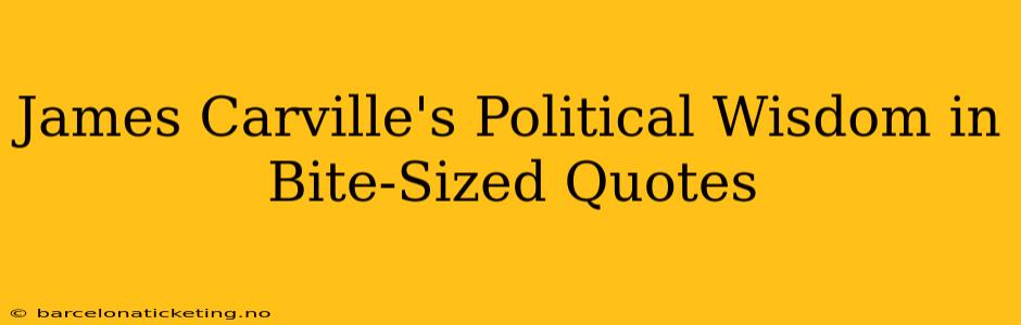 James Carville's Political Wisdom in Bite-Sized Quotes