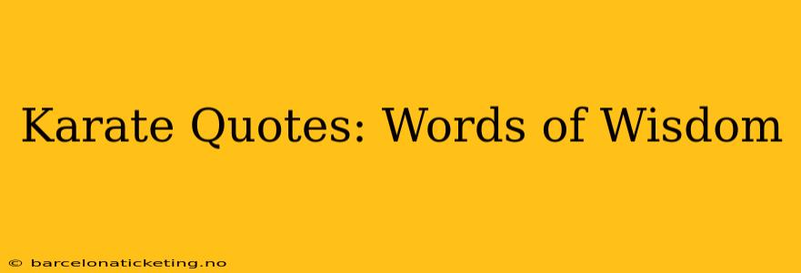 Karate Quotes: Words of Wisdom