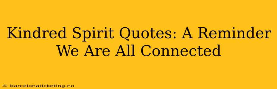 Kindred Spirit Quotes: A Reminder We Are All Connected