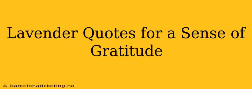 Lavender Quotes for a Sense of Gratitude