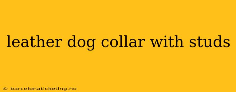 leather dog collar with studs