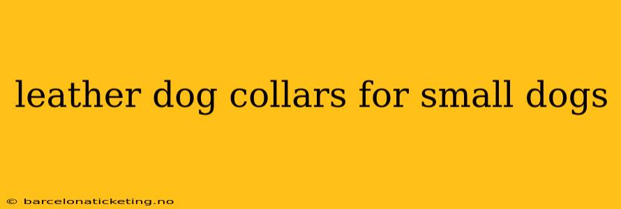 leather dog collars for small dogs