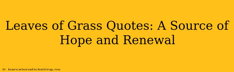Leaves of Grass Quotes: A Source of Hope and Renewal