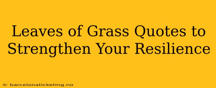 Leaves of Grass Quotes to Strengthen Your Resilience