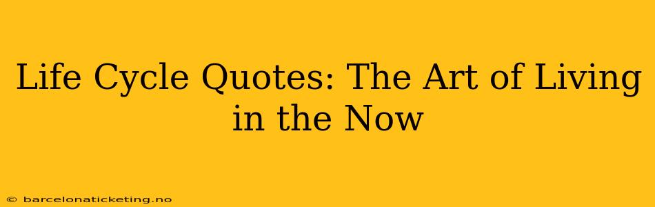 Life Cycle Quotes: The Art of Living in the Now