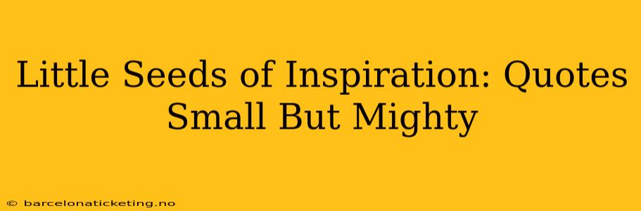 Little Seeds of Inspiration: Quotes Small But Mighty
