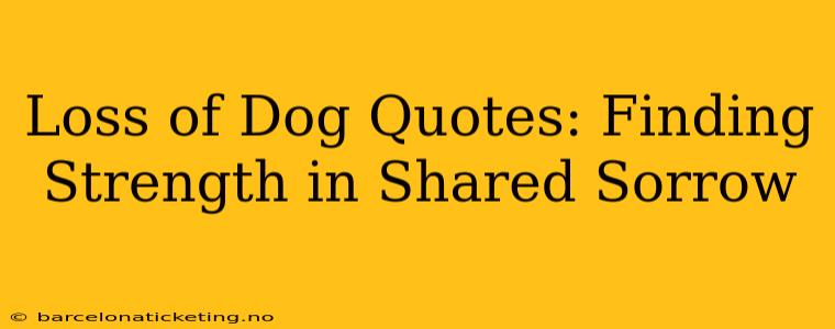 Loss of Dog Quotes: Finding Strength in Shared Sorrow