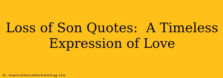 Loss of Son Quotes:  A Timeless Expression of Love