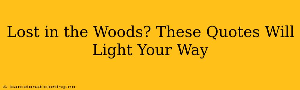Lost in the Woods? These Quotes Will Light Your Way