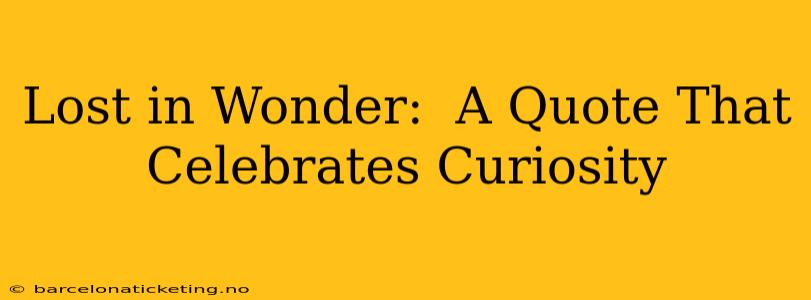 Lost in Wonder:  A Quote That Celebrates Curiosity