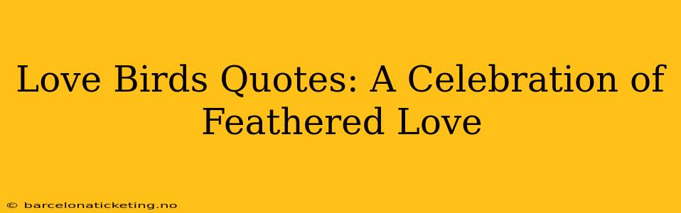 Love Birds Quotes: A Celebration of Feathered Love