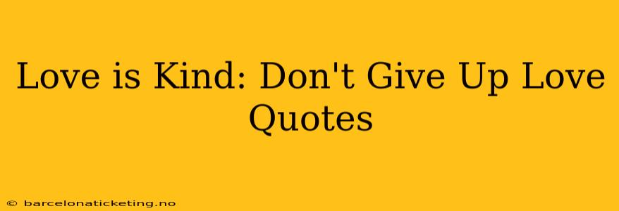 Love is Kind: Don't Give Up Love Quotes