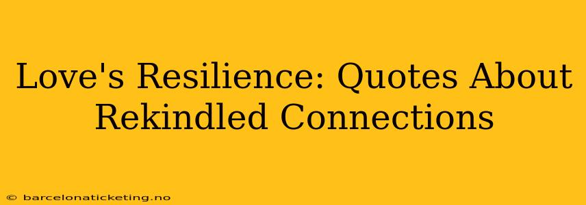 Love's Resilience: Quotes About Rekindled Connections