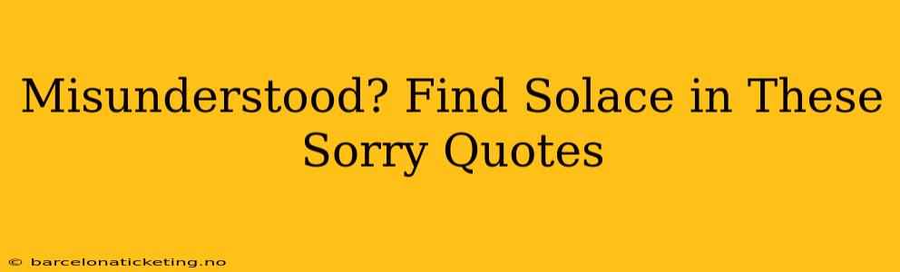 Misunderstood? Find Solace in These Sorry Quotes