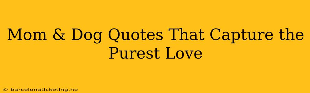 Mom & Dog Quotes That Capture the Purest Love