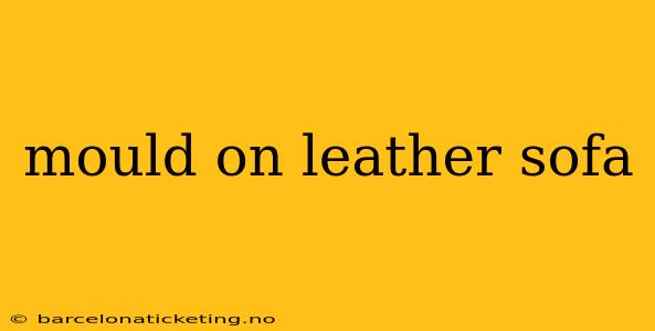 mould on leather sofa