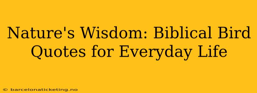 Nature's Wisdom: Biblical Bird Quotes for Everyday Life