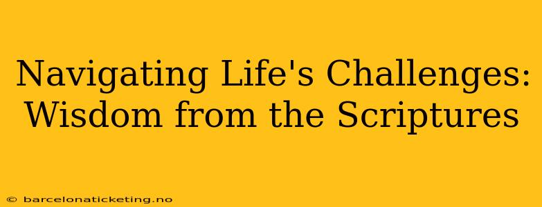 Navigating Life's Challenges: Wisdom from the Scriptures