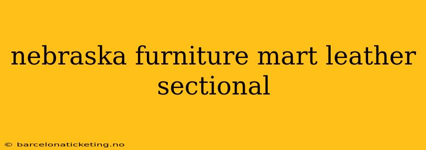 nebraska furniture mart leather sectional