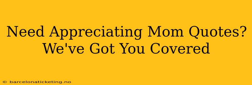 Need Appreciating Mom Quotes? We've Got You Covered