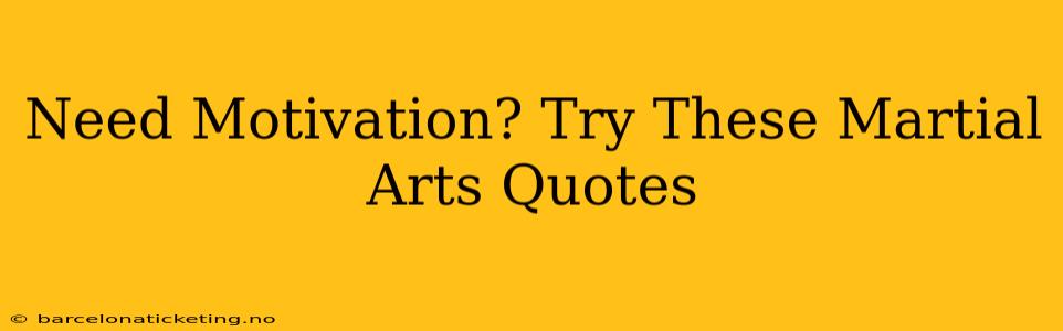 Need Motivation? Try These Martial Arts Quotes