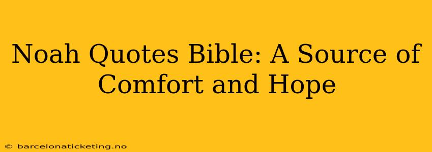 Noah Quotes Bible: A Source of Comfort and Hope