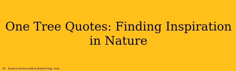 One Tree Quotes: Finding Inspiration in Nature