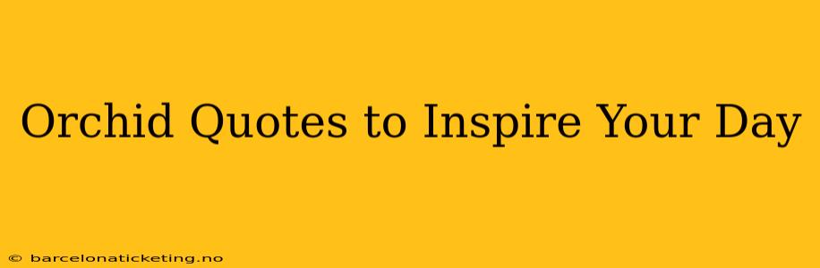 Orchid Quotes to Inspire Your Day