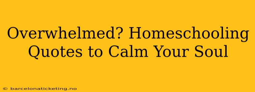 Overwhelmed? Homeschooling Quotes to Calm Your Soul