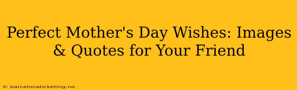Perfect Mother's Day Wishes: Images & Quotes for Your Friend
