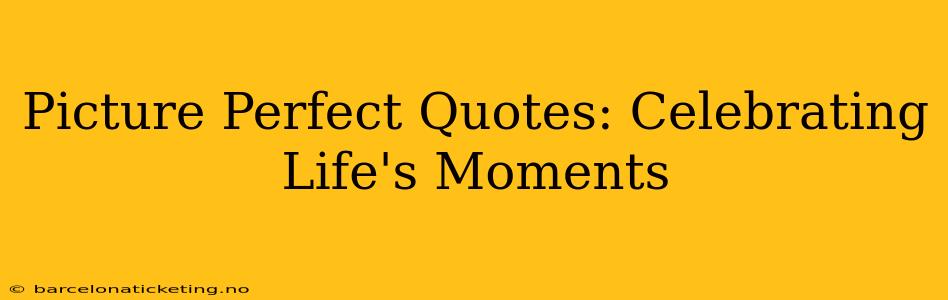 Picture Perfect Quotes: Celebrating Life's Moments
