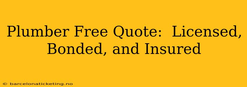 Plumber Free Quote:  Licensed, Bonded, and Insured