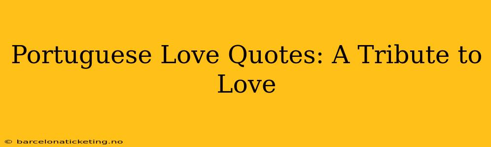 Portuguese Love Quotes: A Tribute to Love